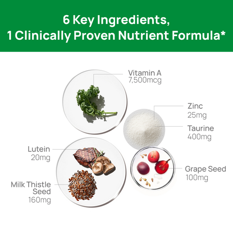 Daily vision support for screen users featuring 6 key ingredients in a clinically proven nutrient formula.