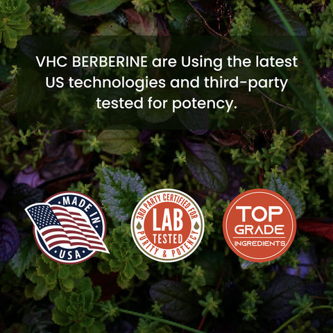 VHC Berberine advertisement with product quality claims and logos on a natural background.