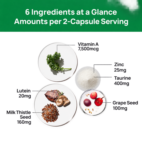 VHC LAB Vision Support infographic showing six ingredients and amounts per two-capsule serving: vitamin A 7500mcg, zinc 25mg, taurine 400mg, grape seed 100mg, lutein 20mg and milk thistle seed 160mg.
